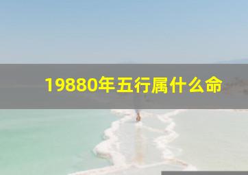 19880年五行属什么命