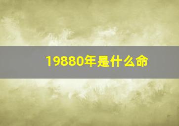 19880年是什么命