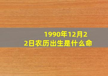 1990年12月22日农历出生是什么命