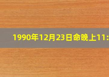 1990年12月23日命晚上11:50