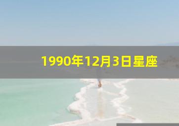 1990年12月3日星座