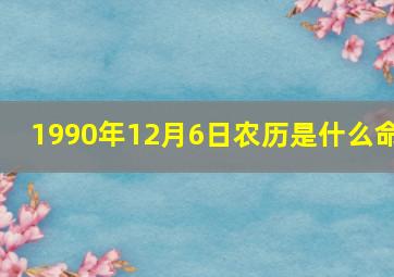 1990年12月6日农历是什么命