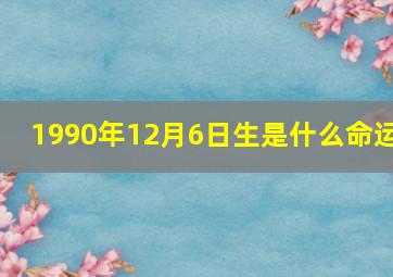 1990年12月6日生是什么命运