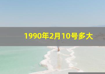 1990年2月10号多大