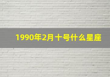 1990年2月十号什么星座