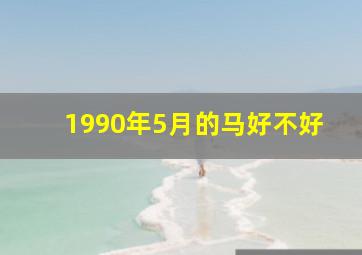 1990年5月的马好不好