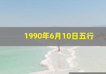 1990年6月10日五行