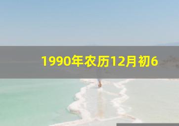 1990年农历12月初6