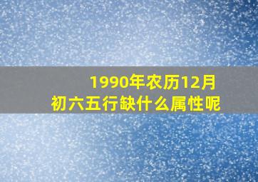 1990年农历12月初六五行缺什么属性呢