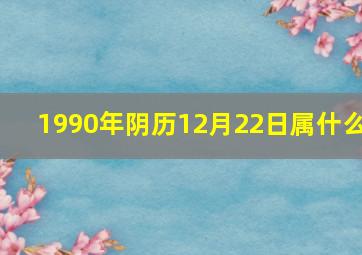 1990年阴历12月22日属什么