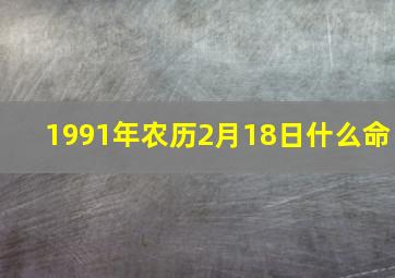 1991年农历2月18日什么命