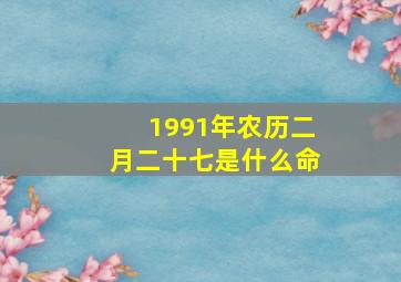 1991年农历二月二十七是什么命