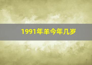 1991年羊今年几岁