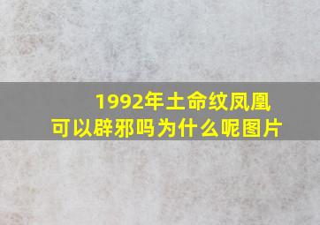 1992年土命纹凤凰可以辟邪吗为什么呢图片