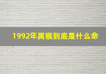 1992年属猴到底是什么命