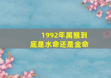 1992年属猴到底是水命还是金命