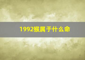 1992猴属于什么命