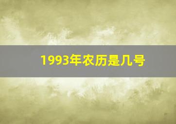 1993年农历是几号