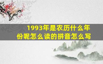 1993年是农历什么年份呢怎么读的拼音怎么写