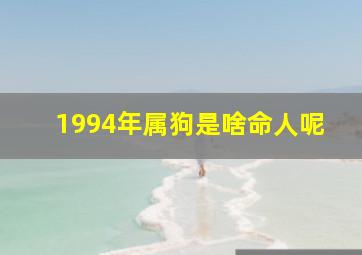 1994年属狗是啥命人呢