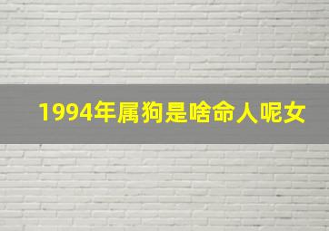 1994年属狗是啥命人呢女