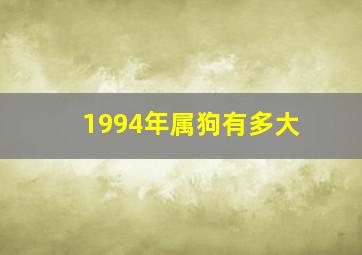 1994年属狗有多大