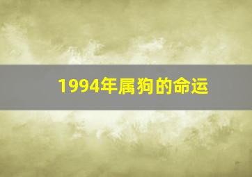 1994年属狗的命运