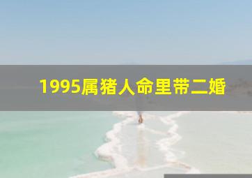 1995属猪人命里带二婚