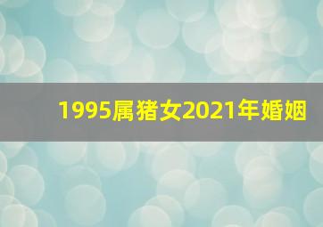 1995属猪女2021年婚姻