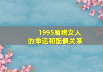 1995属猪女人的命运和配偶关系