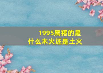 1995属猪的是什么木火还是土火