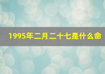 1995年二月二十七是什么命