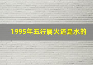 1995年五行属火还是水的