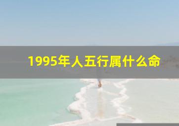 1995年人五行属什么命