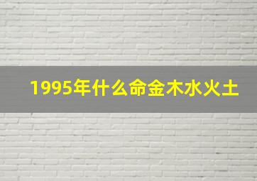 1995年什么命金木水火土