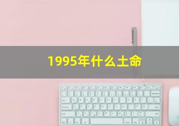 1995年什么土命