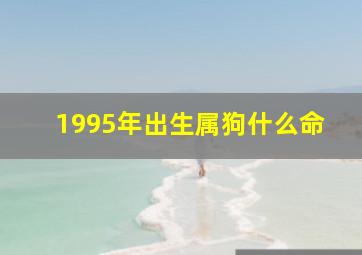 1995年出生属狗什么命