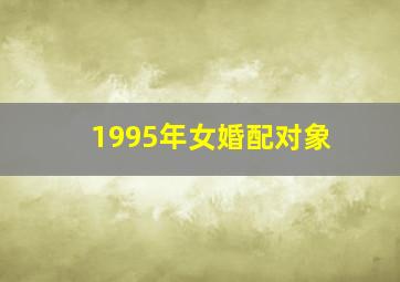 1995年女婚配对象