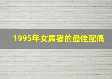 1995年女属猪的最佳配偶