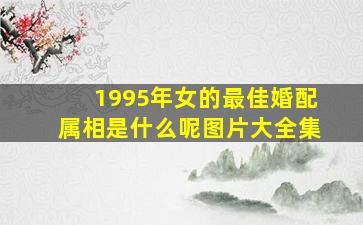 1995年女的最佳婚配属相是什么呢图片大全集