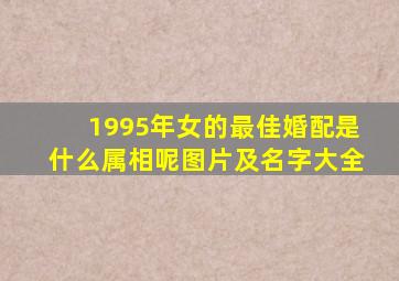 1995年女的最佳婚配是什么属相呢图片及名字大全