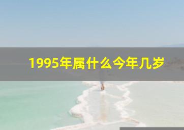 1995年属什么今年几岁