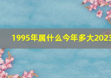 1995年属什么今年多大2023