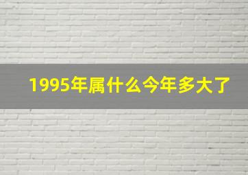 1995年属什么今年多大了