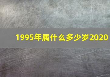 1995年属什么多少岁2020