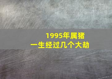 1995年属猪一生经过几个大劫