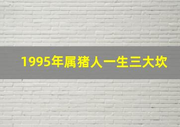 1995年属猪人一生三大坎