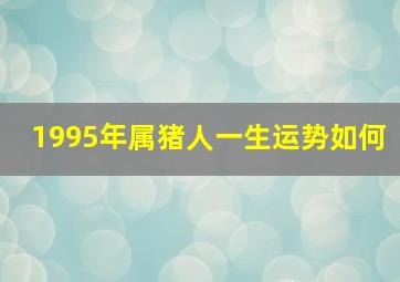 1995年属猪人一生运势如何