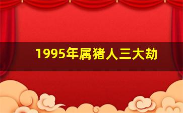 1995年属猪人三大劫