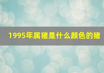 1995年属猪是什么颜色的猪